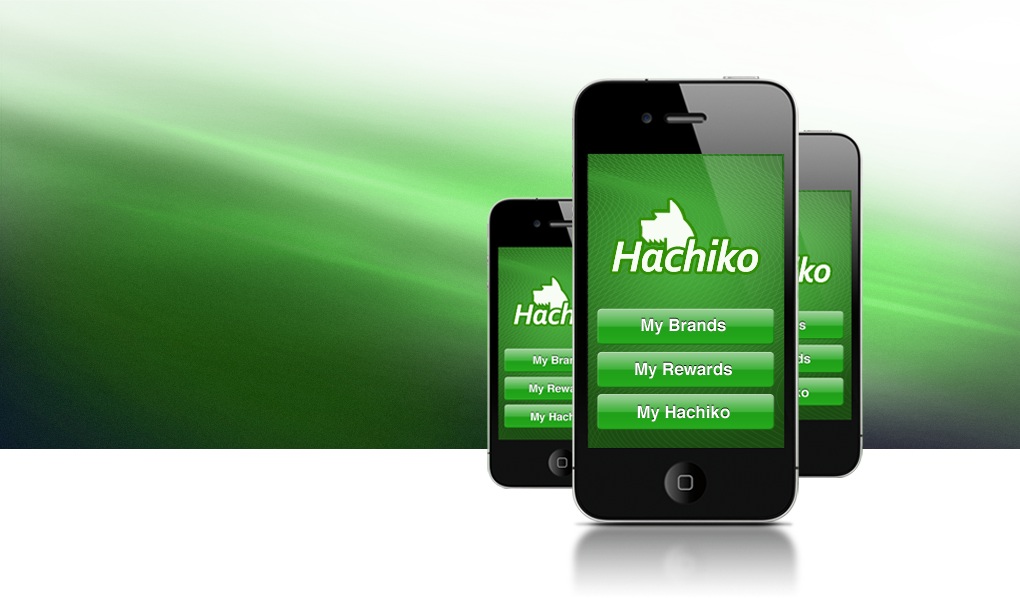 Hachico iOS Application Design
